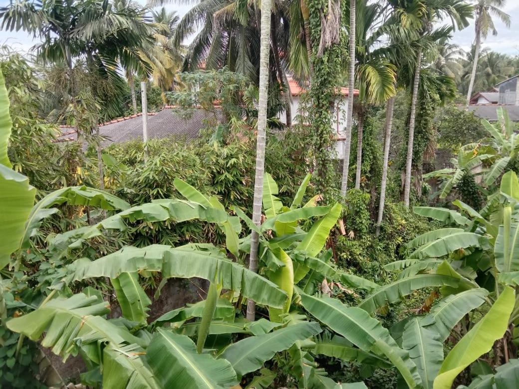 Arcadia Resort Hikkaduwa Exterior photo